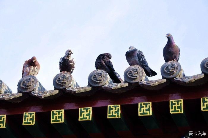 走进五台山最古老的寺院—显通寺