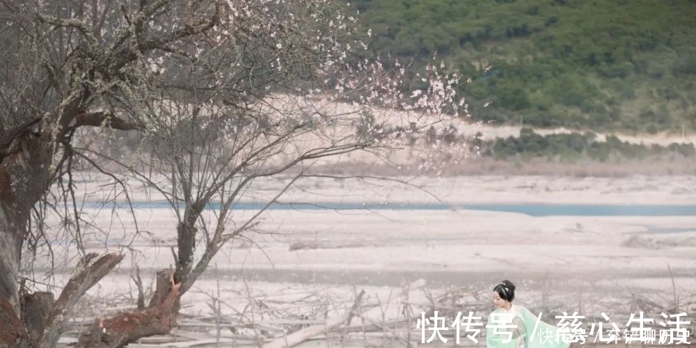 菜根谭|识不足则多虑,威不足则多怒,信不足则多言,理不足则多辩