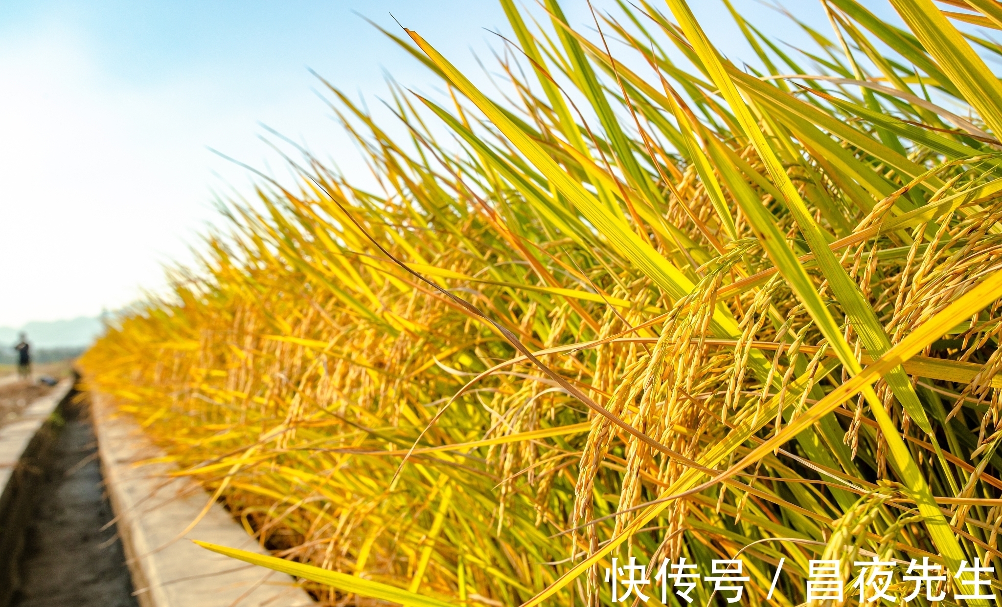 有心计&真正有“心计”的聪明人,往往懂得两种处世哲学,懂一种,也很好