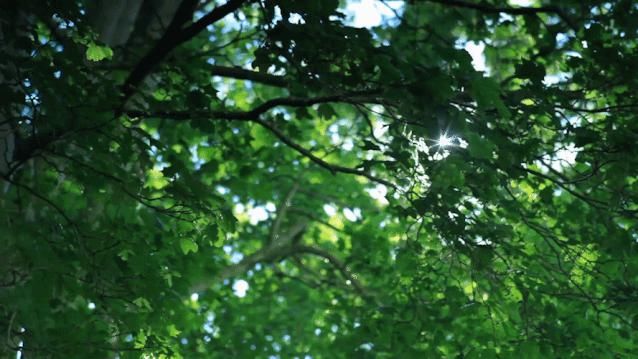 小诗|古人的小诗,美如滋滋流水润人间