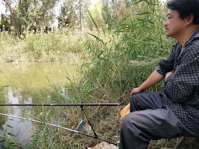 鲫鱼|野钓补窝就停口，找到问题关键，还怕鱼逃离窝子吗