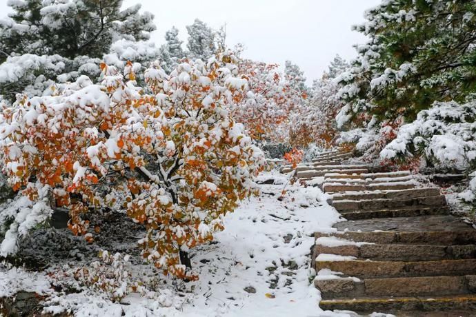  做好|“大雪”节气丨进补这3种“肉”，日常记得做好这5件事儿