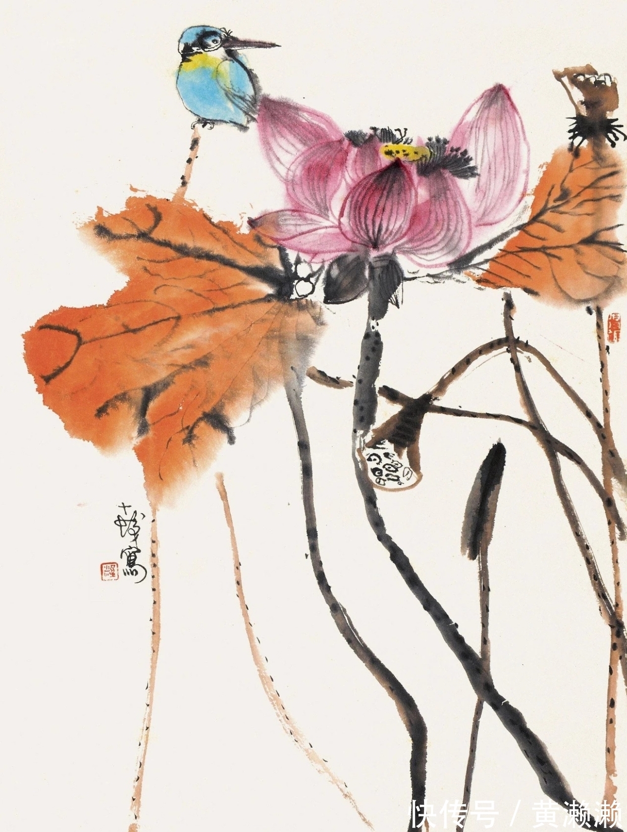 色彩$色彩大师!程十发花鸟画