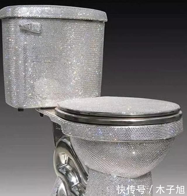 唐鑫源 花1.2亿搞了个厕所!我...竟然有点心动?