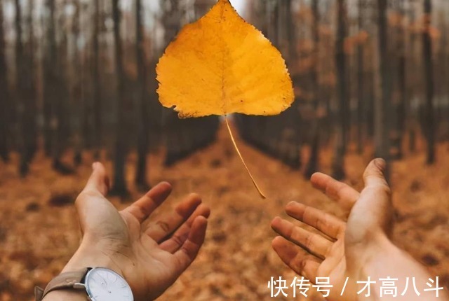 三世三生&做人别虚假,人品闯天下(经典)