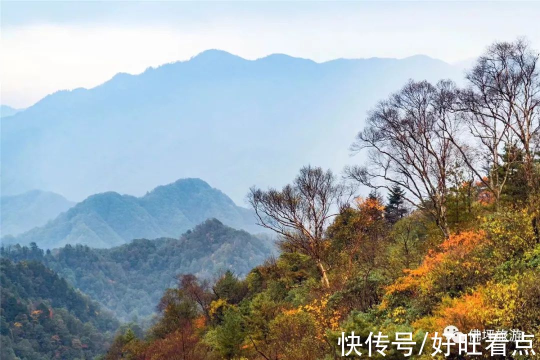 佛坪|魅力陕西行·山色空蒙雨亦奇！秋雨后的佛坪，山幽云雾绕