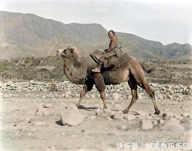 诡异|北京门头沟：1918年的潭柘寺，大殿内的法事看上去很诡异