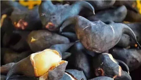 就连卖水|最难剥皮的5种水果，卖水果的都无能为力，全能剥开的是狠人！