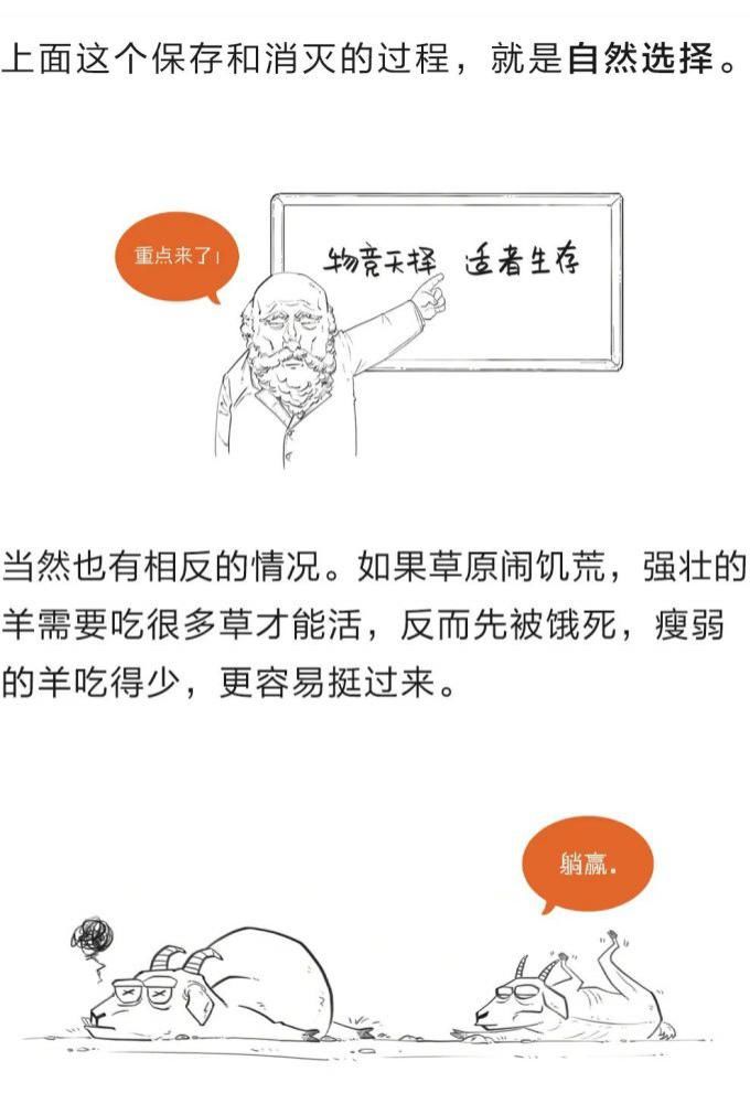 学了这么多年的进化论，竟然都理解错了？