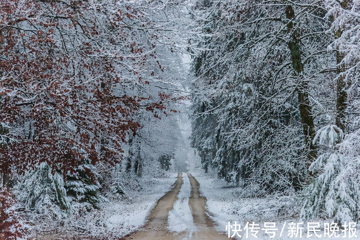 莱蒙托夫！陈世旭：雪落有声