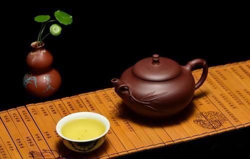 铜钱草叶片又黄又小？记住3要1不要，照着养，叶子翠绿肥厚又油亮