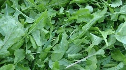 女性想要肌肤好，常吃这些食物，补血护肤，延缓衰老，好处多多