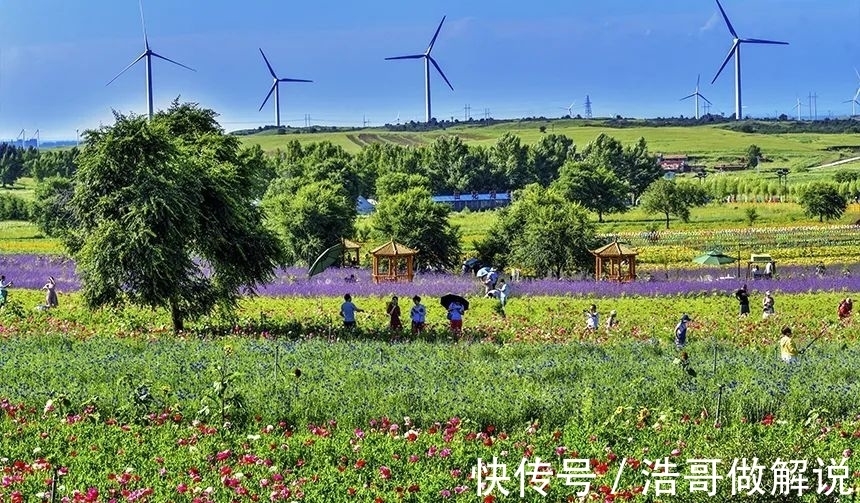 草原|看草原天路“正是时候”