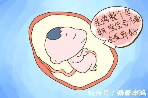 怀孕|怀孕38周生的宝宝跟40周生的区别大吗,这两周胎儿发育情况如何?