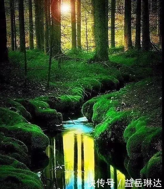 太美了,世界照片今天终于传来,罕见至极,一睹为快