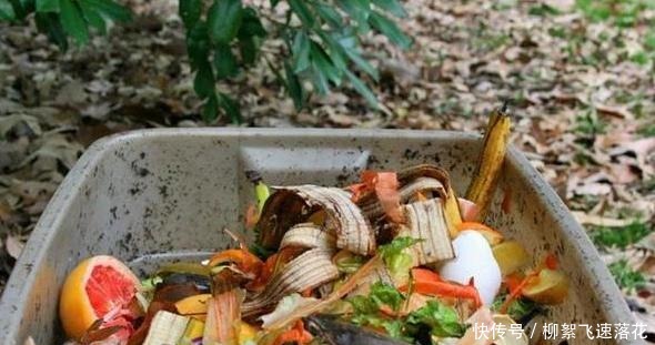 自制养花肥,该如何处理生活垃圾如此办废物可变用