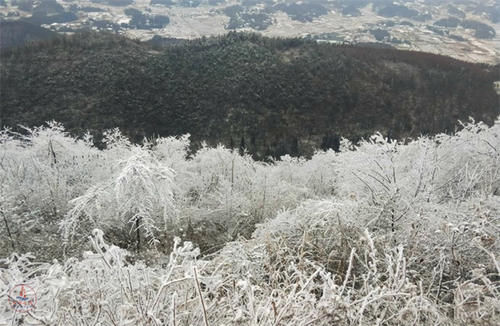 雪景|湖北超大的山地草场，318国道从景区穿过，冬天的雪景很漂亮