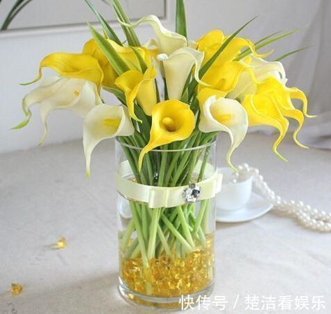 喜欢三角梅,就养盆“珍稀品种”橙雀三角梅,花开爆盆,美艳优雅