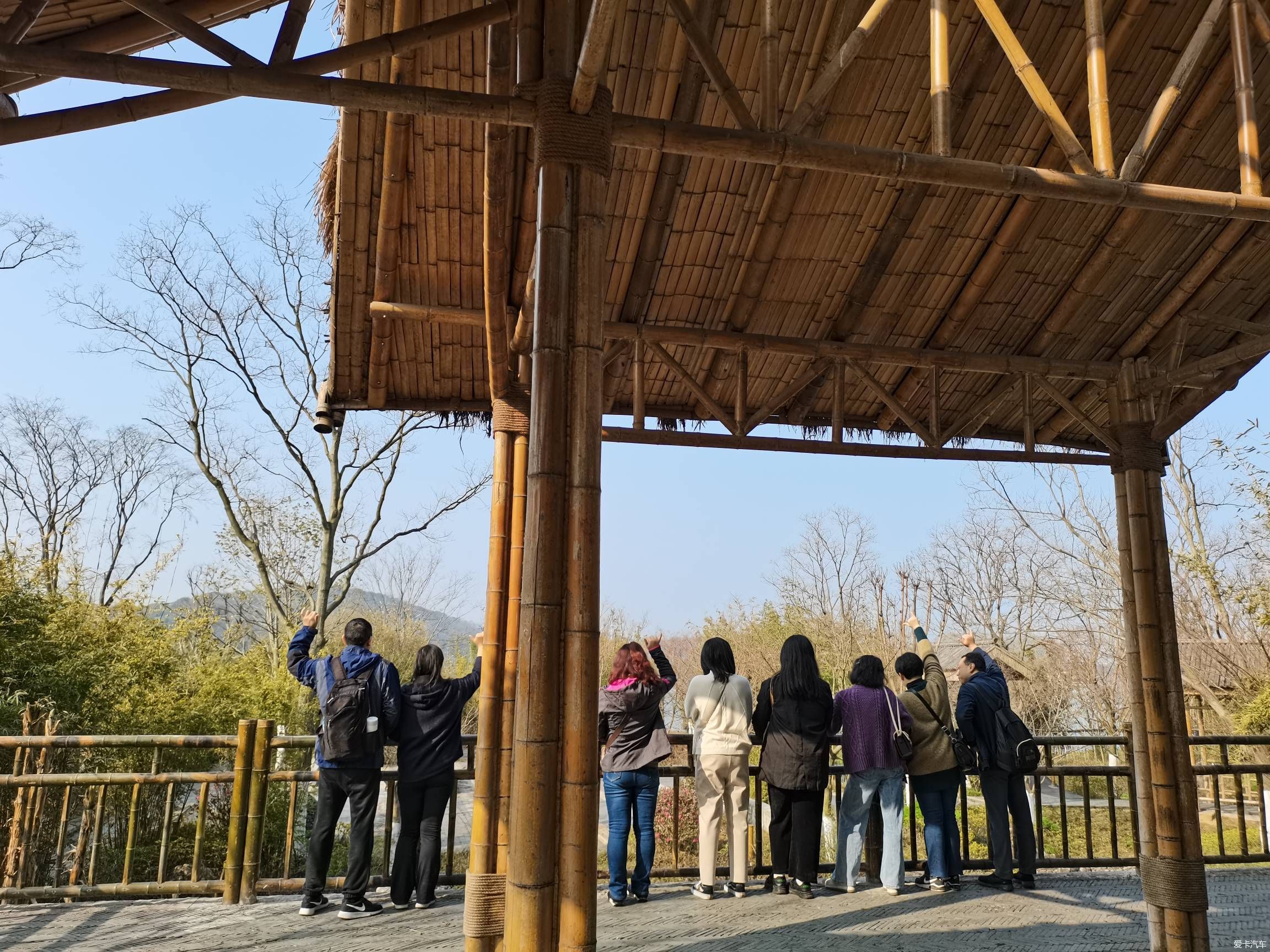 情人节逛森林公园