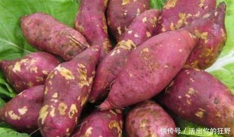 食物|吃完玉米一个小时内，不可以吃此3样食物，尤其是“第3种”勿忽视