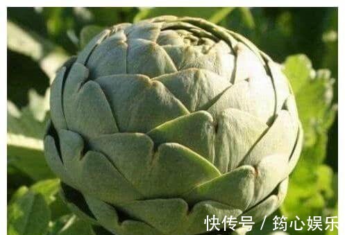 排毒养颜|人到中年想长寿,三种食物要多吃,美容养颜,延缓衰老,试试看