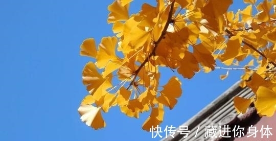 银辉$晁补之的一首名作，浑然一体，又襟怀宽广，令人赏心悦目