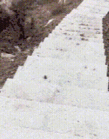 |搞笑动图:妹子,你这是相亲成功了吗?