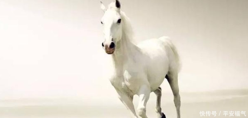 唐太宗李世民一生有五大爱好,第一个就是男人最爱,16岁获得!