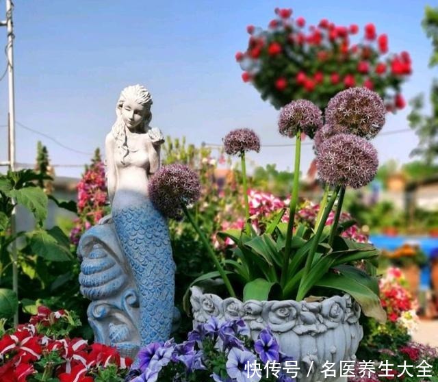 大叔的花园,亮点多多,惊艳了我,难怪大家都夸他太有生活情调了!