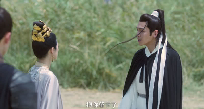 《雪中悍刀行》靖安王为何抛下裴南苇,送给徐凤年?裴南苇有问题