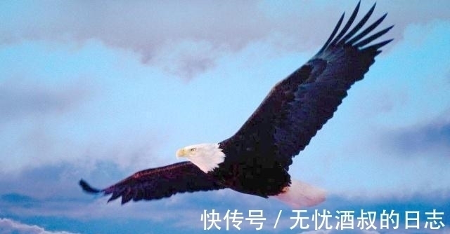 秋言狂志！七言绝句《秋言狂志》，小诗有点狂劲，看看有没有喜欢的诗句？