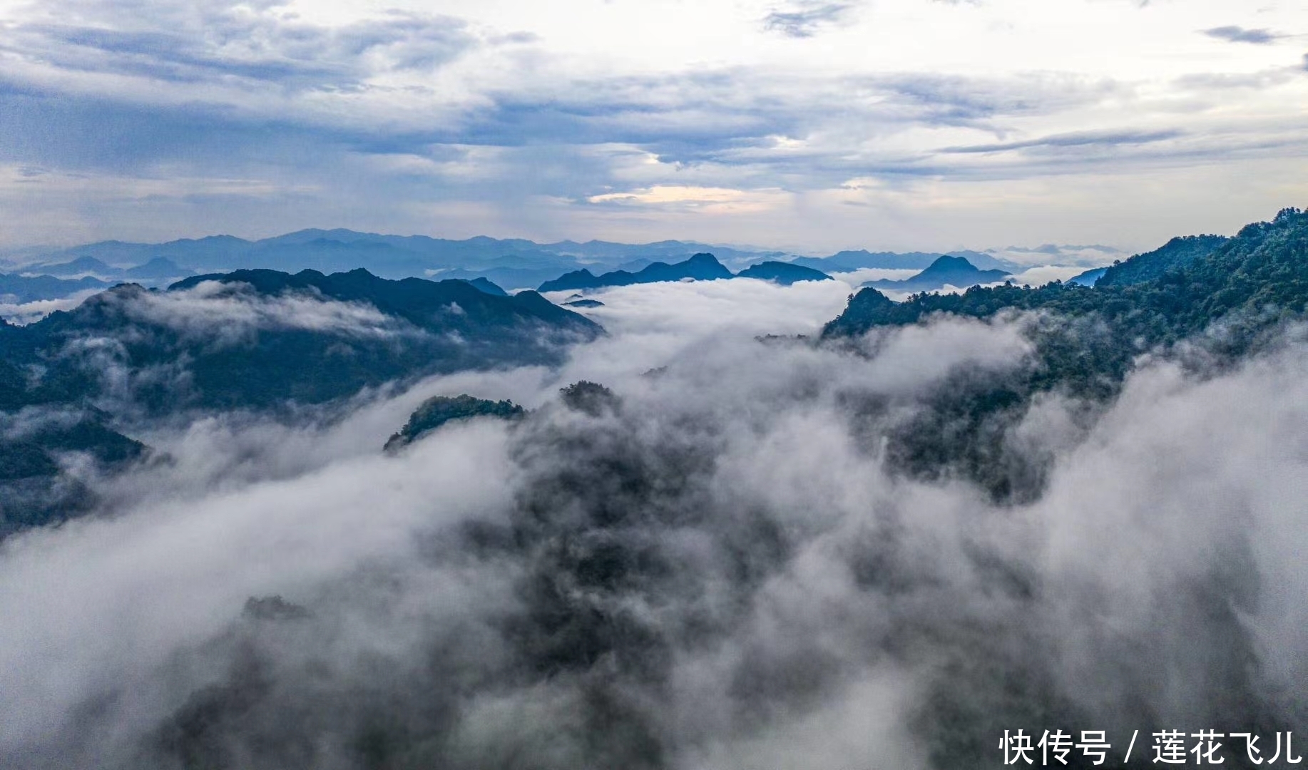  盛世|Hello！我是木王山红叶！我以盛世美颜待君来！