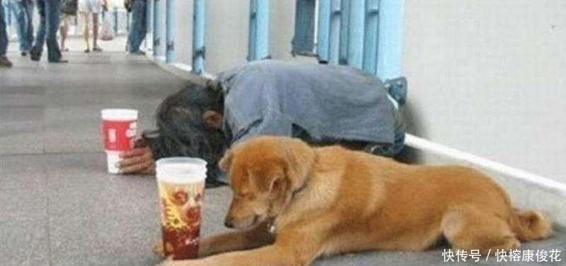 些俗语|俗语“乞丐没有要早饭的”,道理很现实,可惜很多人做不到