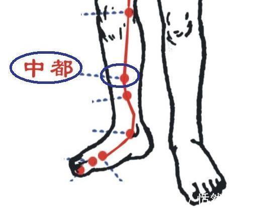 养肝护肝|它们是肝脏的“解毒王”,每天食用一点,能排出肝毒,预防肝炎!