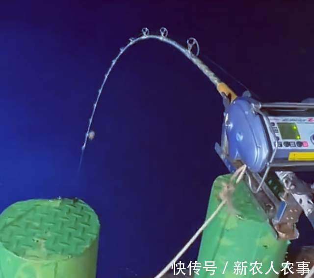 山东钓鱼人组团深海钓大鱼,米级百斤巨物接连上钩,网友:发财了