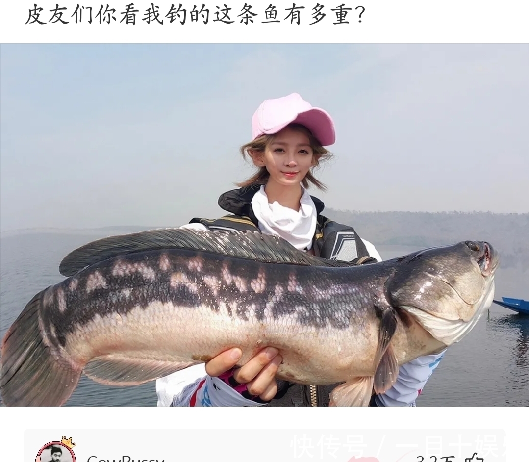 |神段子:笑死人了,白居易为什么写了《琵琶行》但是不娶琵琶女?