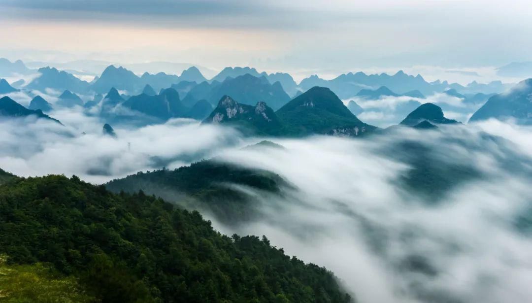 寒湿|百病湿为首，三伏天正是除寒湿的好时机