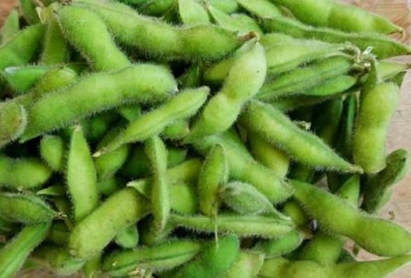 改善便秘|此物具有7大功效，可以改善脂肪代谢，改善便秘，降低血压！