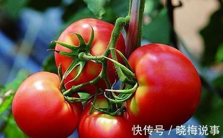 女性|女性若不想“衰老快”，4种食物建议常吃，蜂蜜上榜