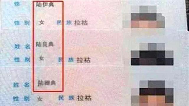 谢主隆恩|爸爸姓“陆”,给三胞胎孩子取了这个名字,一听就知道是一家人!