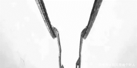 旅行|我们是一个怕旅行、不善旅行的民族