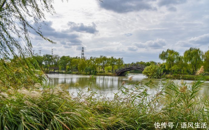 天赐福|苏州一个静谧的公园，没有江南水乡的古韵，却独得本地人喜爱