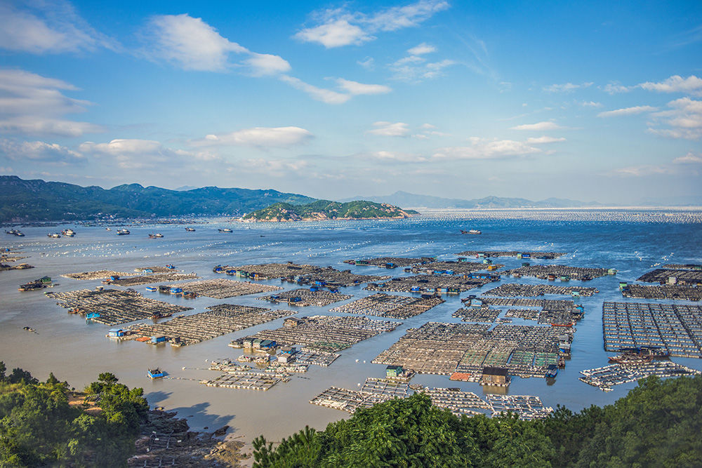 渔排|我国唯一的海上村庄，房屋都在海面上，就连台风也吹不走