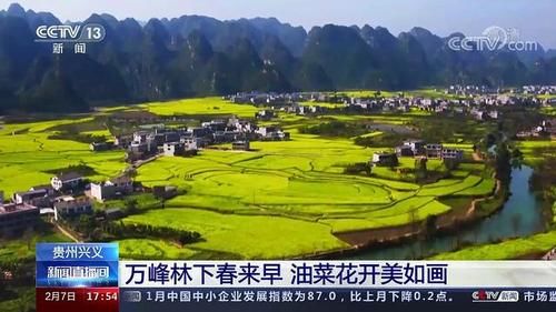 央视聚焦黔西南州万峰林景区8000亩油菜花盛开