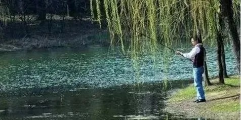 秋季，鱼都喜欢躲在这4个地方，选择合适的钓位，上鱼特别快