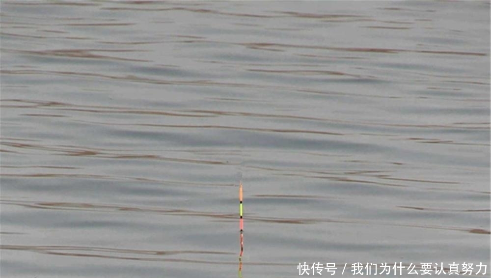 调漂的核心是找底,是一饵到底,还是双饵到底?可以看这些公式!