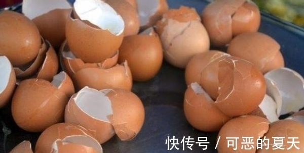 家庭养花:该怎么合理“混搭”蛋壳、白醋?