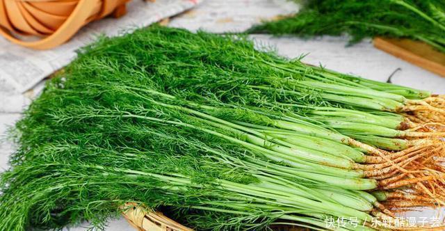 茴香猪肉馅|用茴香包饺子,万不可直接包,多加1步,茴香更翠绿,饺子更鲜香