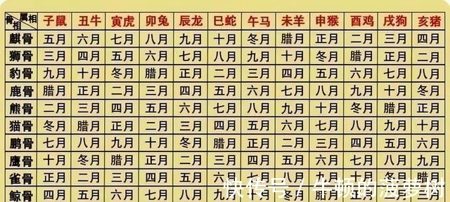 骨相|从农历生辰观骨相，麒骨天生富贵、狮骨自力更生、豹骨聪明伶俐