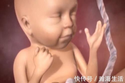 真相|孕妇在大哭的时候,胎儿也会跟着流眼泪吗?一张图告诉你“真相”